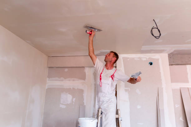 Best Water-Damaged Drywall Repair  in Goodland, IN